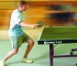 Play Table Tennis